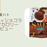 【東ハト】ソルティショコラはどこで買える？カロリーや正直レビューも！