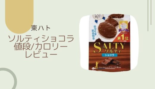 【東ハト】ソルティショコラはどこで買える？カロリーや正直レビューも！