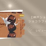 【神戸ローストショコラ】ショコラフォンダンはどこに売ってる？実際のレビューも！